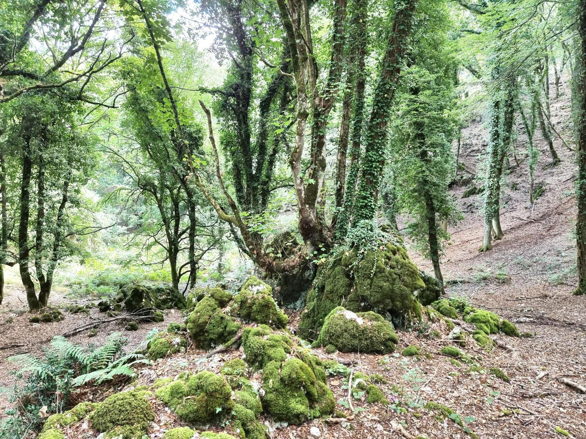 Suites Dimora Garibaldi Peschici Buitenkant foto